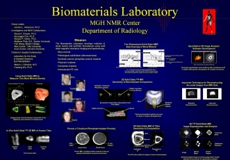 Martinos Center Biomaterials Laboratory Poster
 Adobe Acrobat pdf File