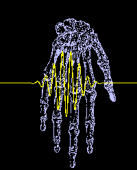 Martinos Center Biomaterials Laboratory