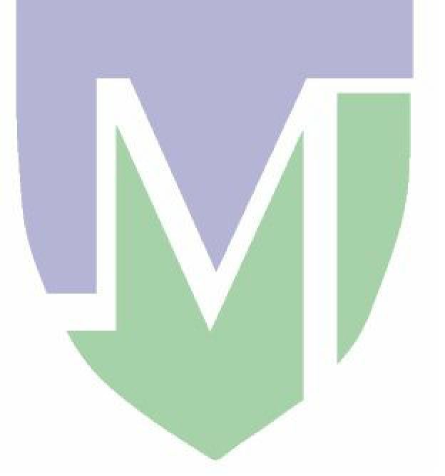 Martinos Imaging Center