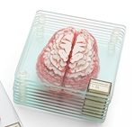 Brain Coasters