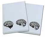 Brain Notepad
