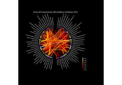 ../_images/sphx_glr_plot_mixed_source_space_connectity_thumb.png