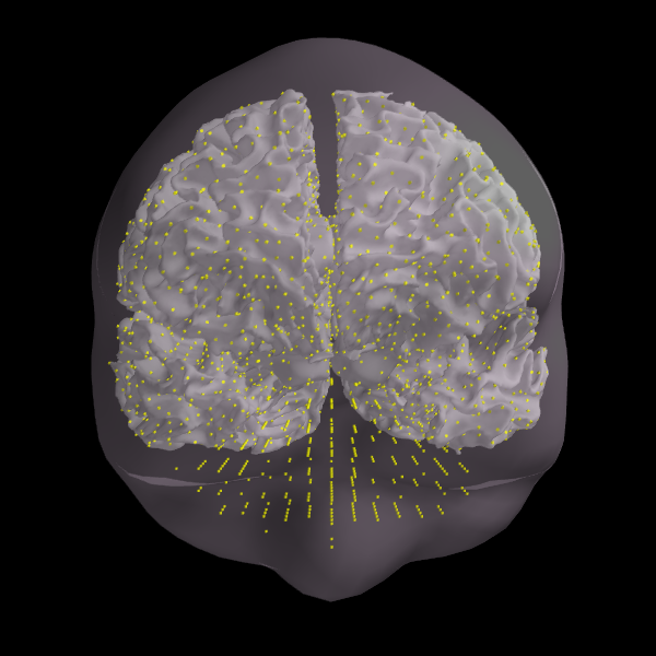 ../../_images/sphx_glr_plot_mixed_source_space_inverse_001.png
