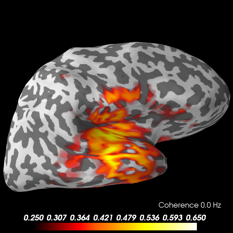 ../../_images/sphx_glr_plot_mne_inverse_coherence_epochs_001.png