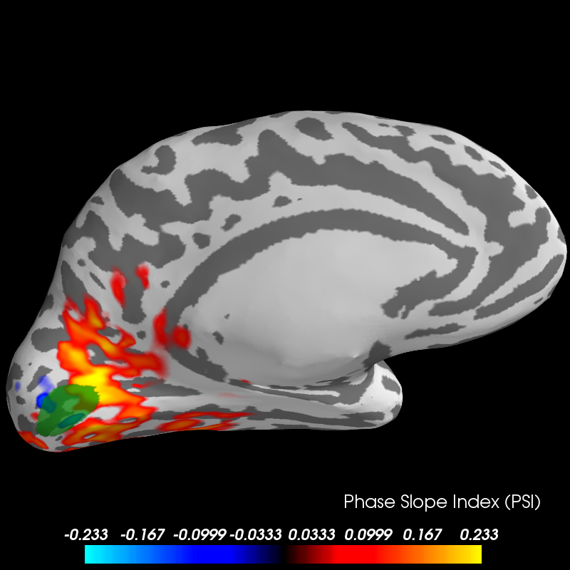 ../../_images/sphx_glr_plot_mne_inverse_psi_visual_001.png