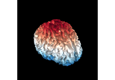 ../_images/sphx_glr_plot_read_inverse_thumb.png