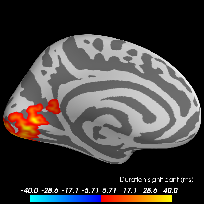 ../_images/sphx_glr_plot_stats_cluster_spatio_temporal_repeated_measures_anova_001.png
