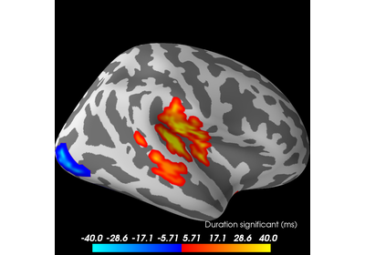 ../_images/sphx_glr_plot_stats_cluster_spatio_temporal_thumb.png