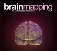 BrainMapping