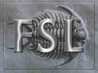fsl-logo-big