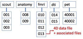 fileOrganization